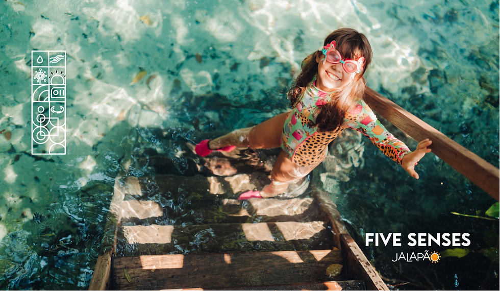 protetor de tela jalapão