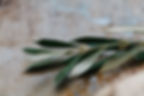 image0.jpeg