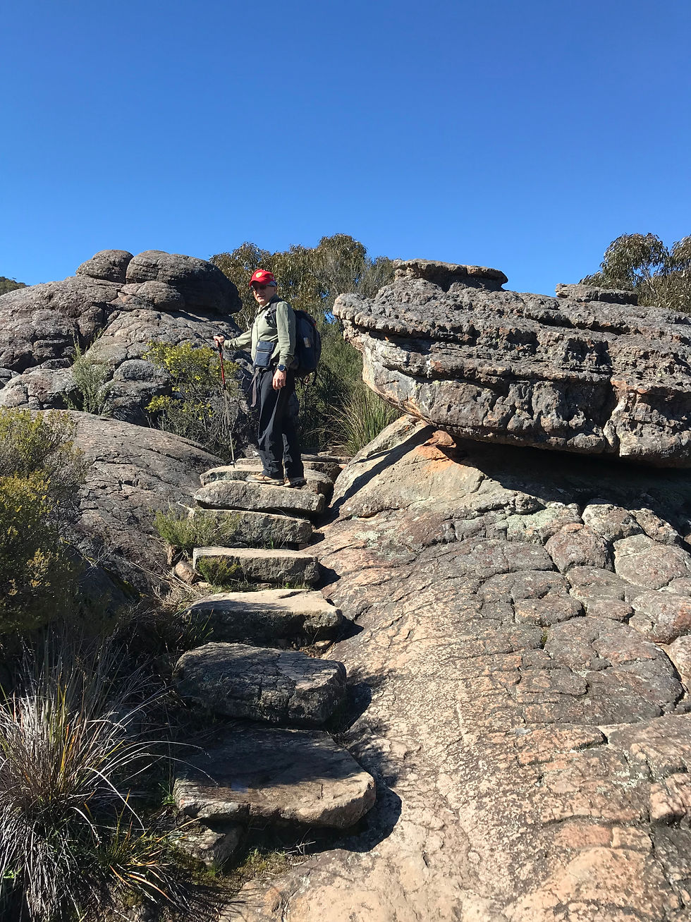 Walk to the Pinnacle