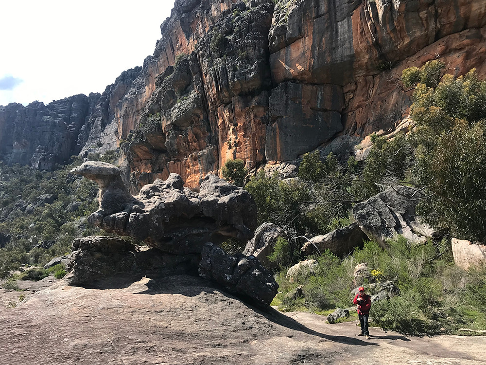 Bird Rock
