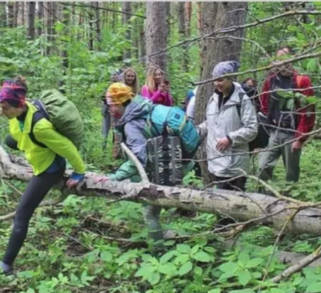 бурелом| skitour.club| Блог Сергея Чеботова