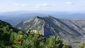 По следам Москвитина.