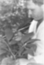 Женьшень| skitour.club| Блог Сергея Чеботова