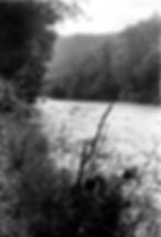 Река Тигринка