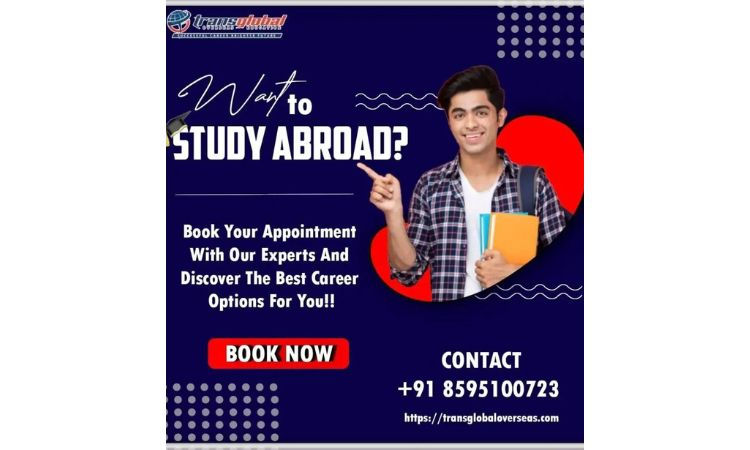 Study abroad consultant in Delhi - Transglobal Overseas
