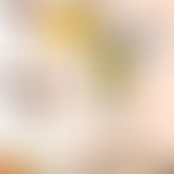 Lixa A296 com Espuma Norton No-Fil Gold Tecnologia Canadense