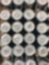 ivan-rohovchenko-ubBN5-K-edE-unsplash.jpg