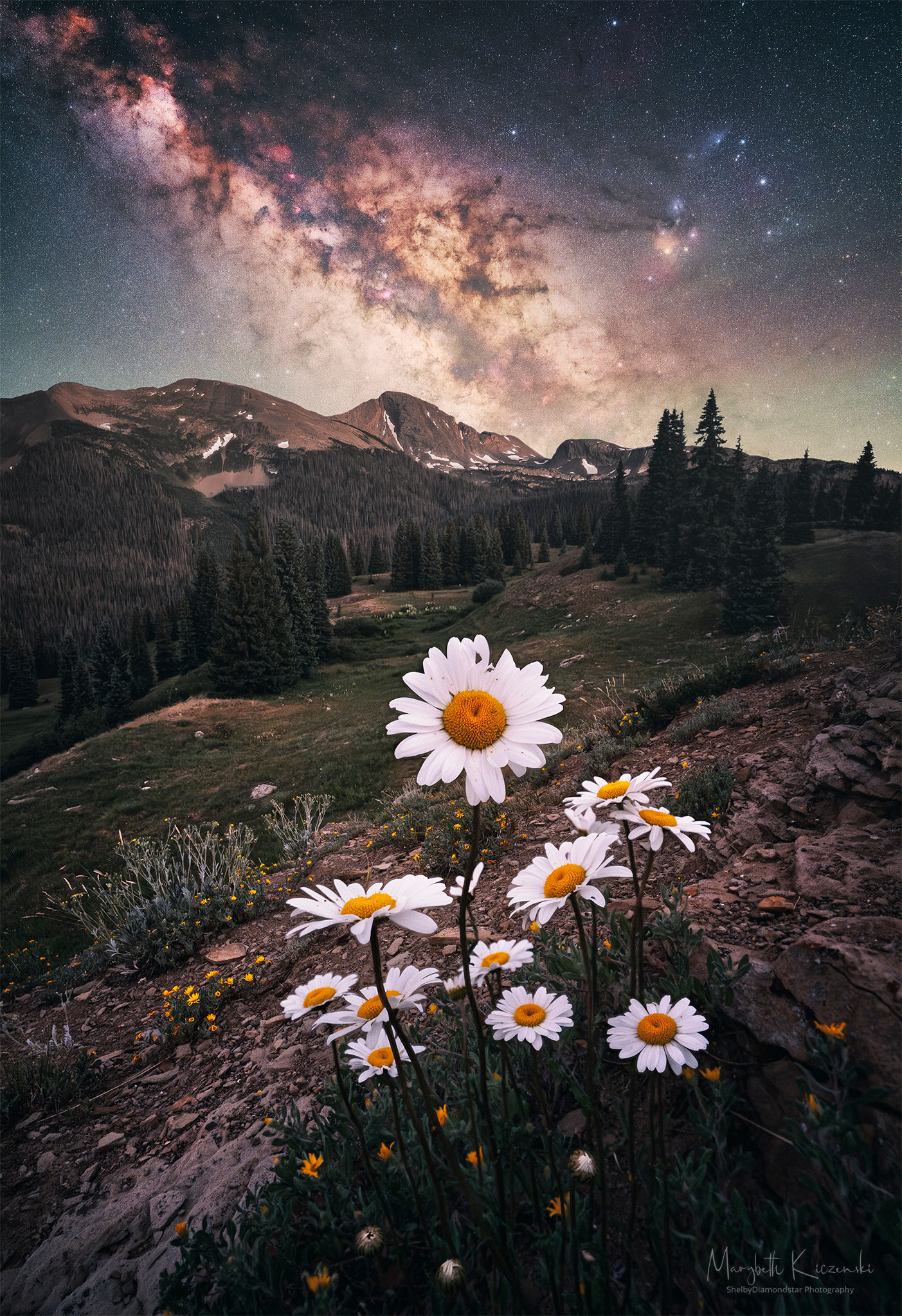 Summer in the San Juan's