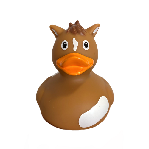 Horse Rubber Duck duckhousebrighton