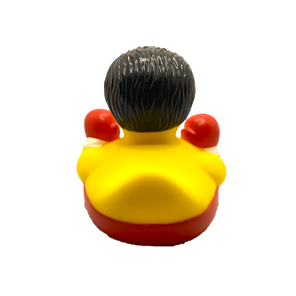 Thumbnail: Boxing Rubber Duck