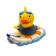 Surfer nb1.png