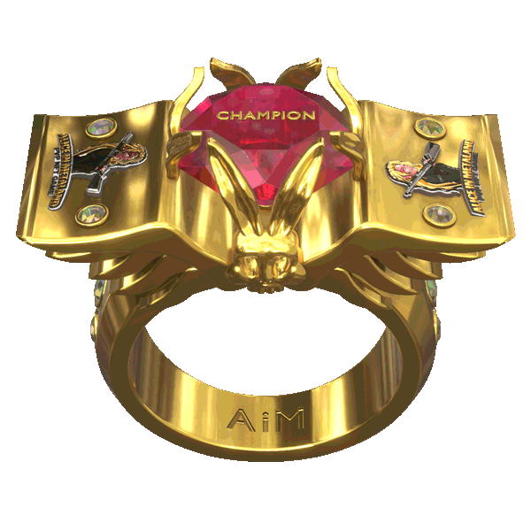 SpinRing_Gold_600px.gif