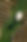 DJI_0721.jpg