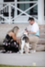 Proposal Planner