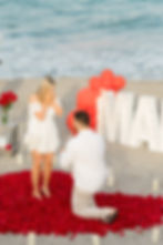Palm Beach Proposal