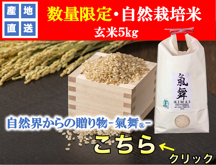 氣舞自然栽培米.png