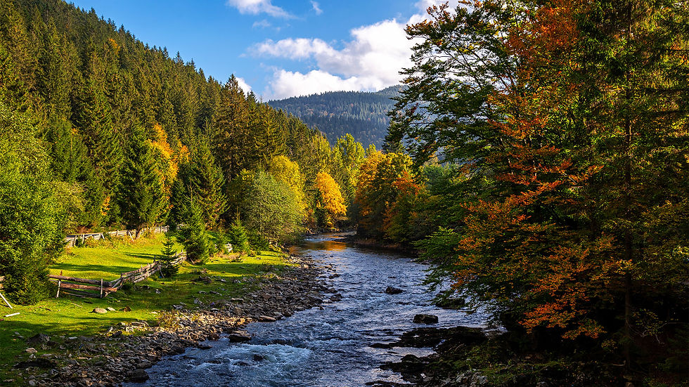 Carpathian River.jpg
