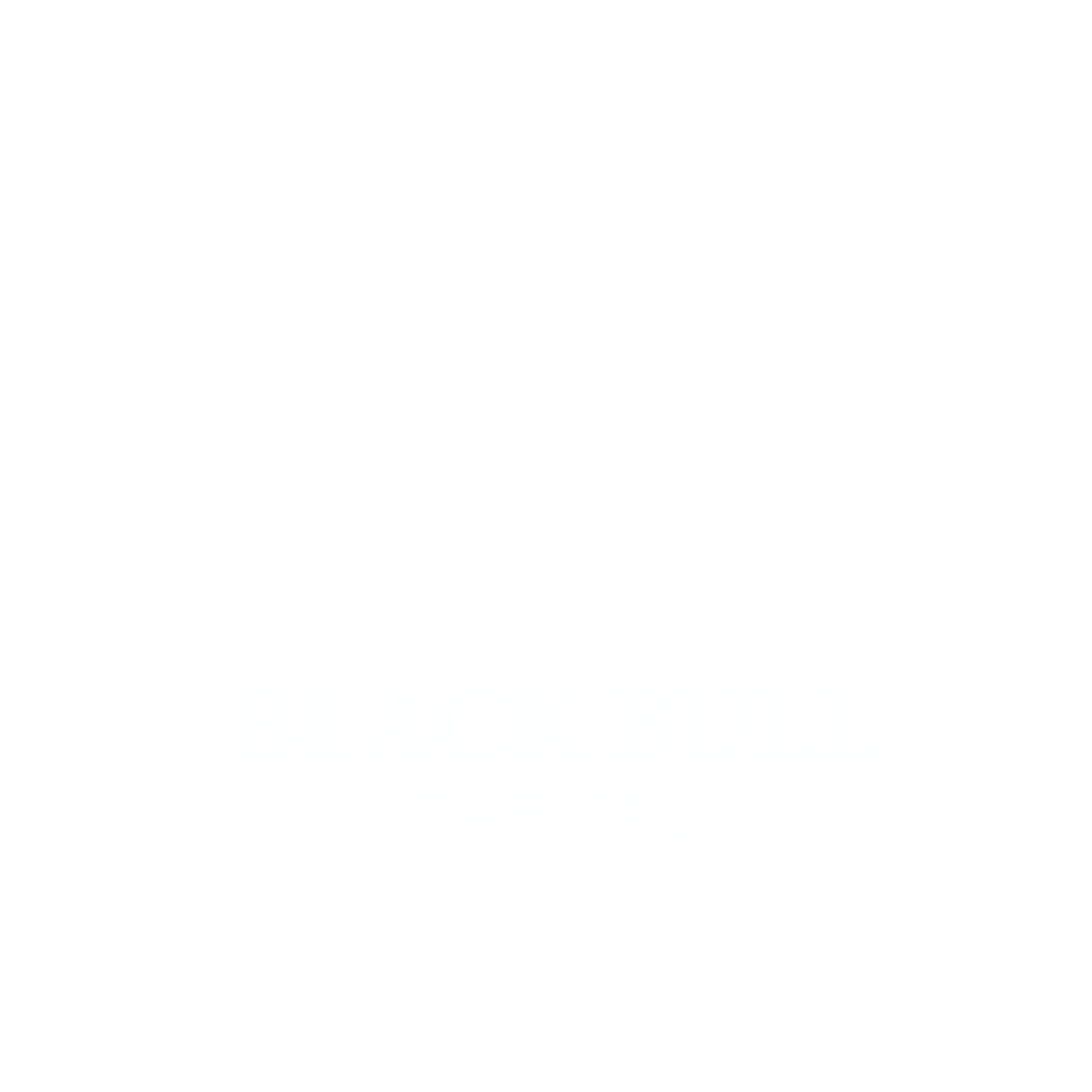 BLACK BULL CAPITAL