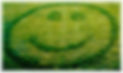 happylawn.jpg