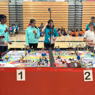 Team 60502