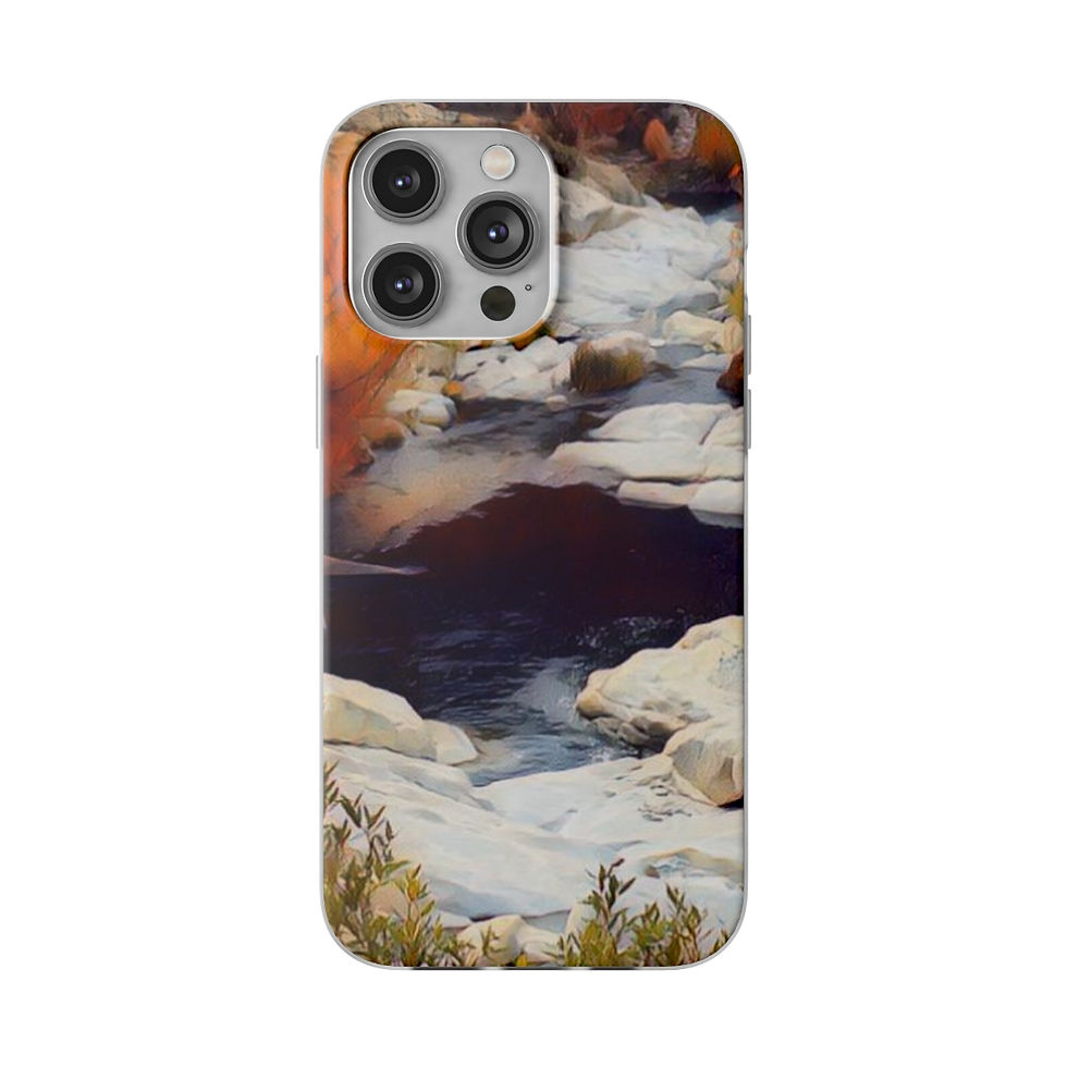 Thumbnail: Pond design phone case