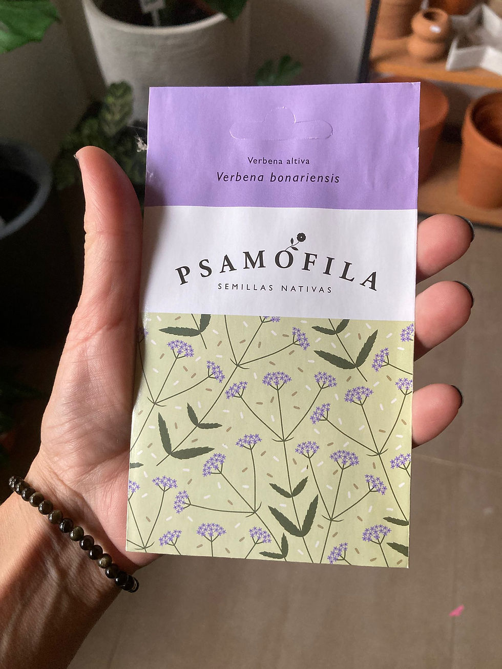semillas verbena bonaerensis