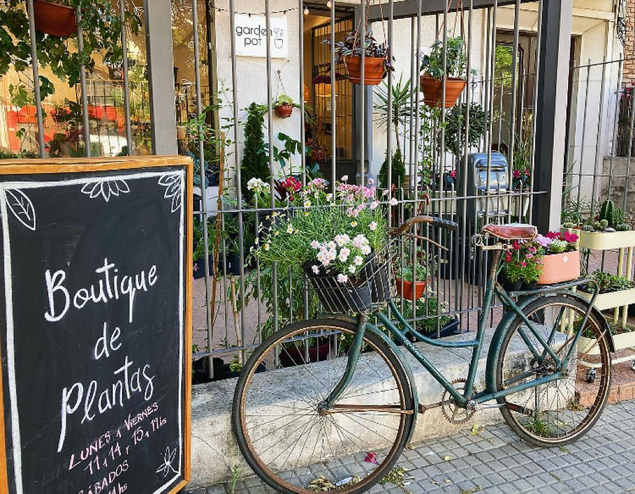 Boutique de Plantas