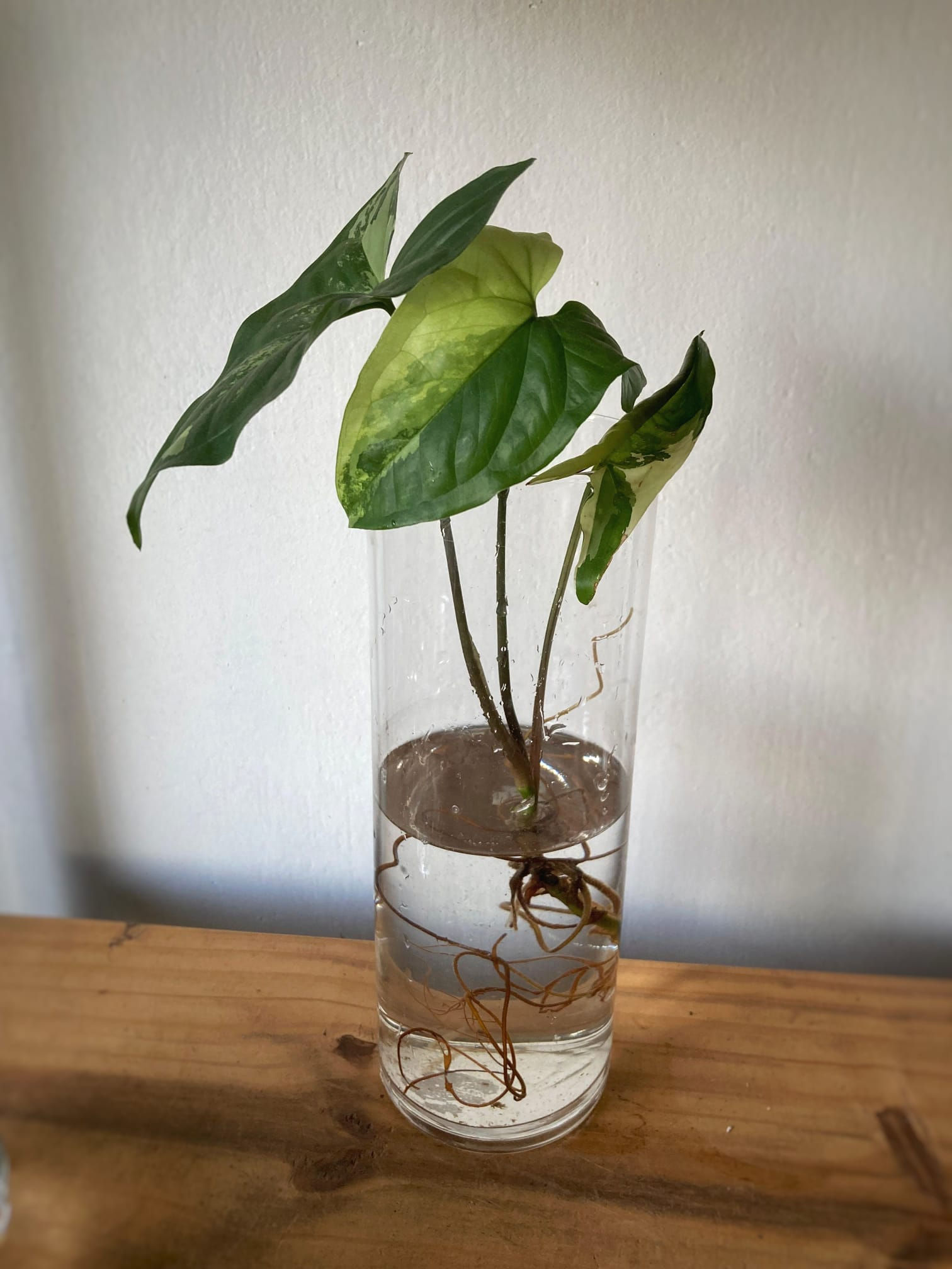 florero vidrio