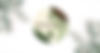 new logo.png