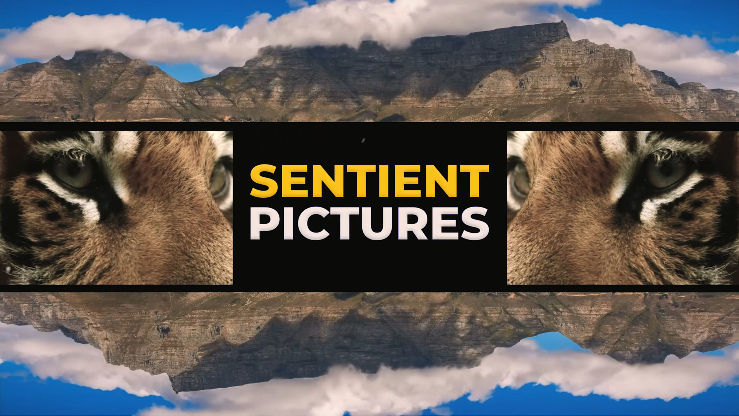About | Sentient Pictures | London & Cape Town