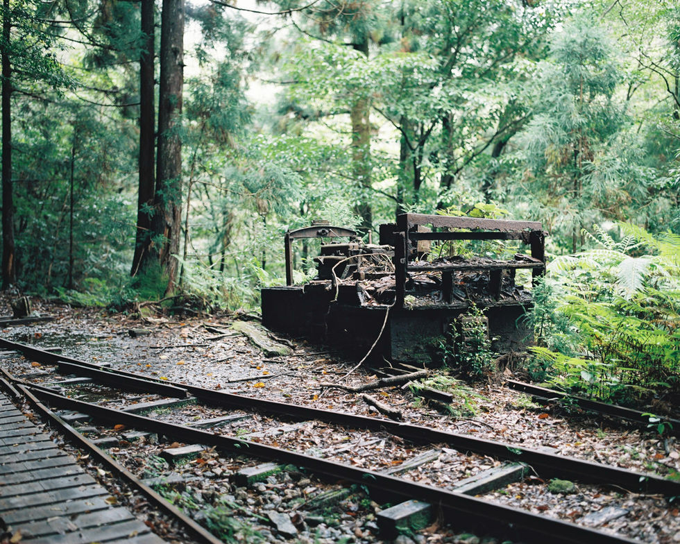 211022_Yakushima_32.jpg
