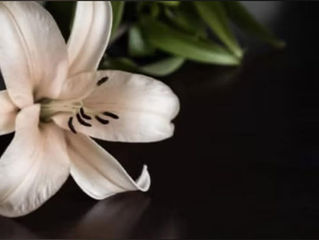 Phyllis Maxine Lemaster