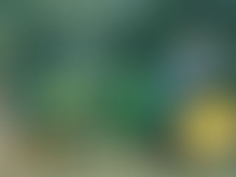 Ora "Jay" Issac Osborne Jr.