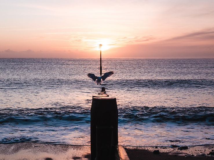 Ein Meer mit Leuchtturm als Hintergrund für Natalie Wefzow-Koberg - für Orientierung