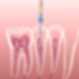 AdobeStock_277311336.jpeg