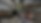 Untitled design (3).png