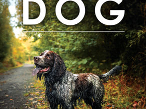 The Year of The Dog