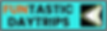 FuntasticLogoSallixcopyright2025dited_edited.png