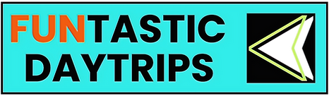 FuntasticLogoSallixcopyright2025dited_edited.png