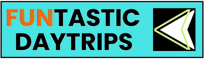 FuntasticLogoSallixcopyright2025dited.png