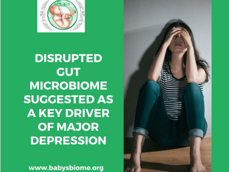 Disrupted Gut Microbiome a Key Driver of Major Depression?