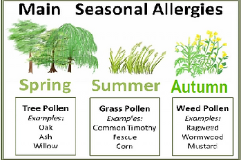 map winter_edited.png