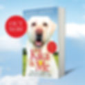 The cover of Kika & Me by Dr Amit Patel features a close-up of a yellow Labrador Retriever, set against a bright blue sky and lush green field. The book’s title appears in bold, colourful text, with the subtitle “How one extraordinary guide dog changed my world” beneath it. A red circular label announces “OUT NOW,” while another highlights a glowing review: “Kika’s story will steal your heart away” – Mail on Sunday. The image radiates warmth, optimism, and connection—inviting readers into a story of resilience, partnership, and transformation.