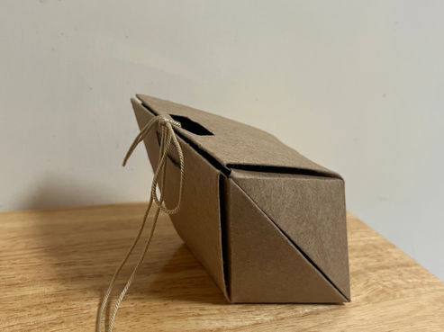 Packaging Design and Physical Models