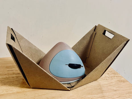 Packaging Design and Physical Models