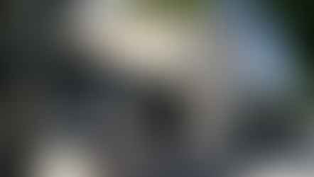 Centre Calmette à Cenon