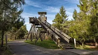 Balade thématique au Bourgailh (Pessac) 