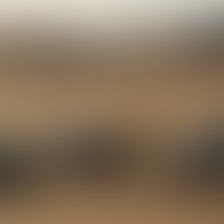 Rallye Roses des Sables : Une Aventure 100 % Féminine et Solidaire au Cœur du Désert Marocain