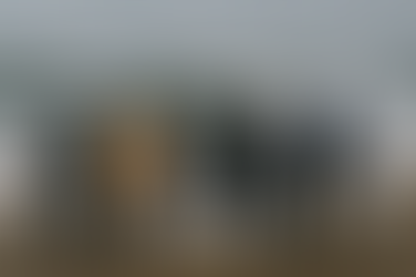 Arcachon 2026 : la sortie du Jour de l'An