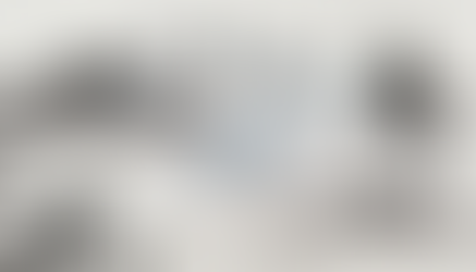 Les chiens aboient, la caravane passe : avancer malgré les critiques